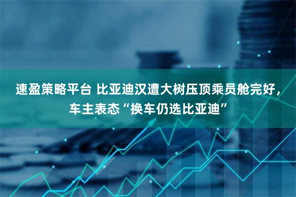 速盈策略平台 比亚迪汉遭大树压顶乘员舱完好，车主表态“换车仍选比亚迪”